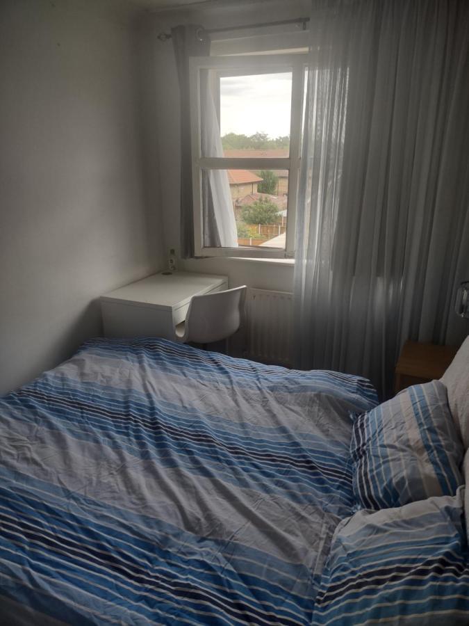Quiet And Peaceful Double Bedroom In A Nice House With A Very Large Patio London