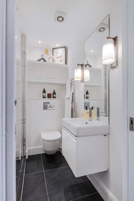 Lady On The Lane- 2 Bed Primrose Hill Apartment *