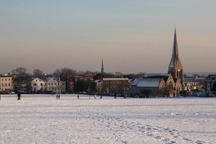 Elegant Parkside Flat: Blackheath Common Period Building Apartamento Londres