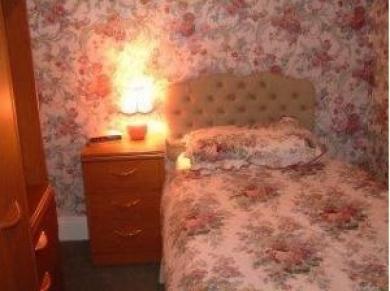 The Hotel *