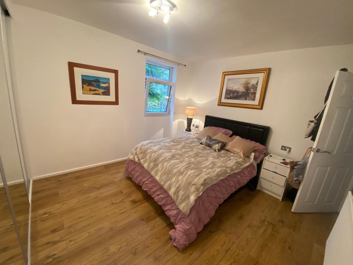 Hidden Gem In Oval - Elephant And Castle Apartment London
