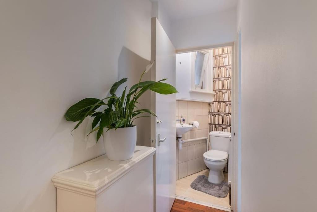 Apartment Wonderful Mansion In The Heart Of Marylebone *
