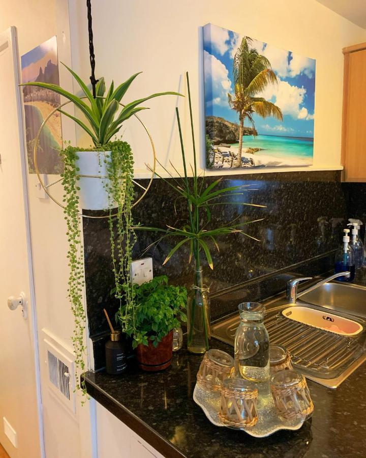 Garden Beautiful Cozy Flat , Recent Decorated. Londres