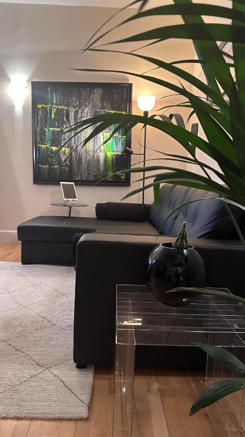 Central Spacious Studio Apartment London