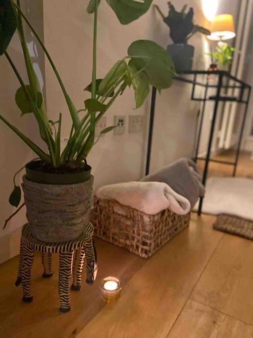 Spitalfields Market Penthouse Flat With Balcony Apartment