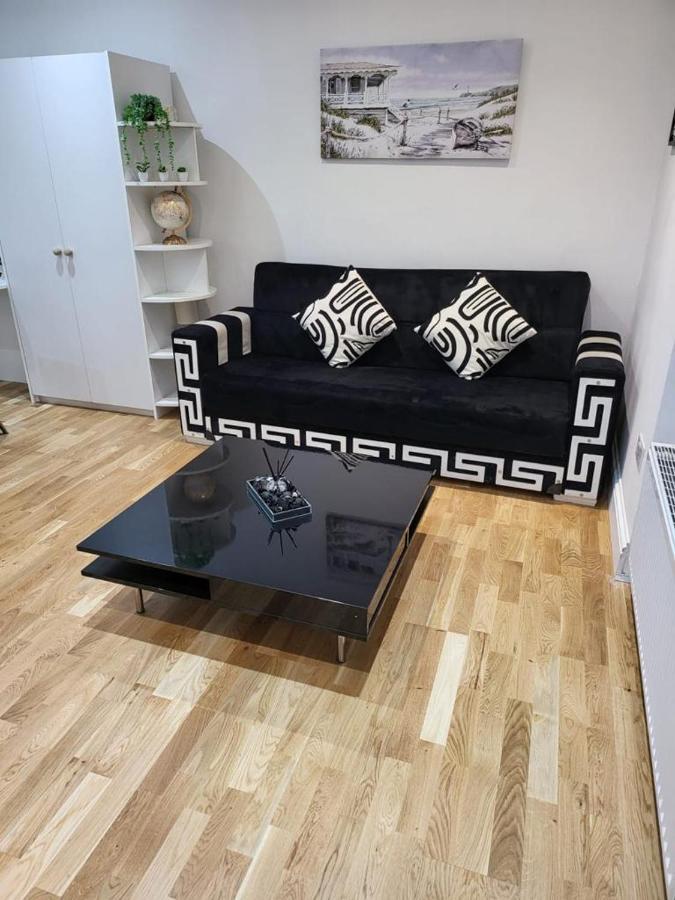 Apartment Fancy Basement Flat A London