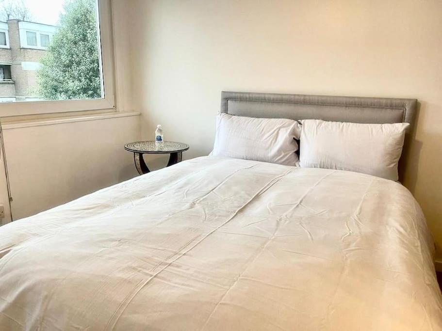 Newly Renovated 2 Bedroom Apartment London
