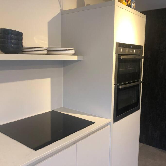 Apartment Brand New Studio Outhouse Putney Sw15 London