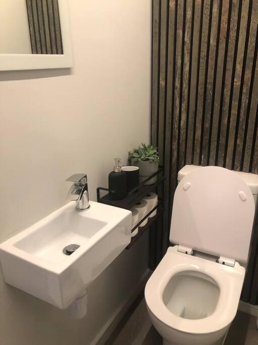 Apartment Brand New Studio Outhouse Putney Sw15 *