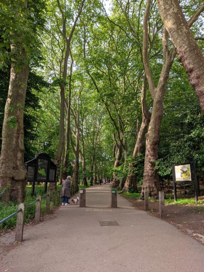 Hampstead 19th Century Village London