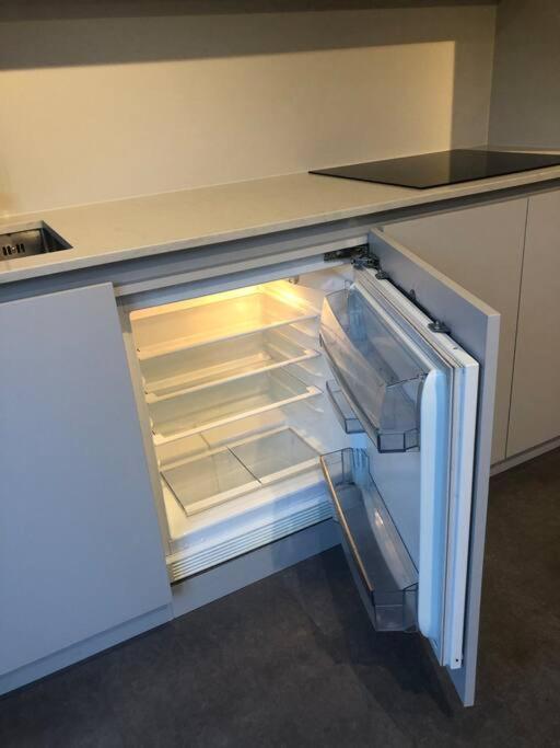 Apartment Brand New Studio Outhouse Putney Sw15 *