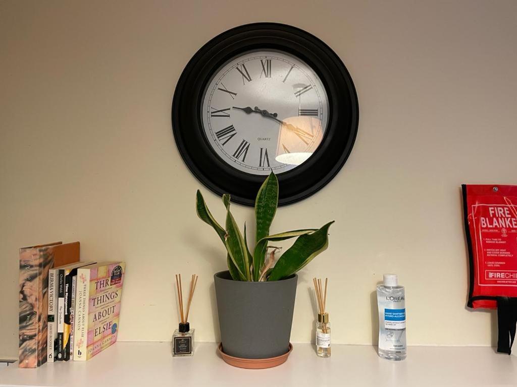 Anazing Studios 2 - North East London - Chingford Apartment London