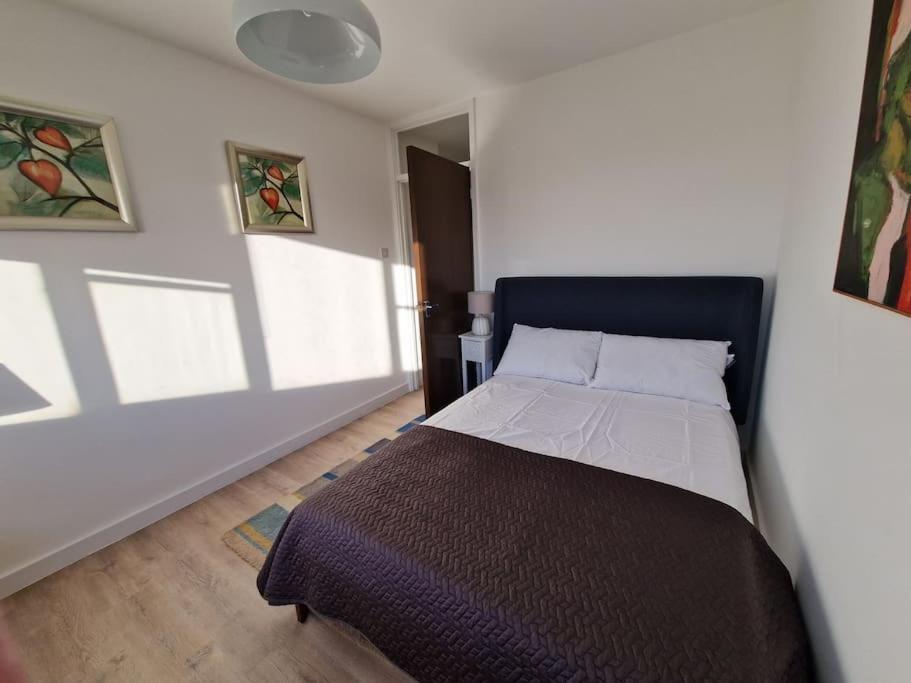 Newly Renovated Apartment! *