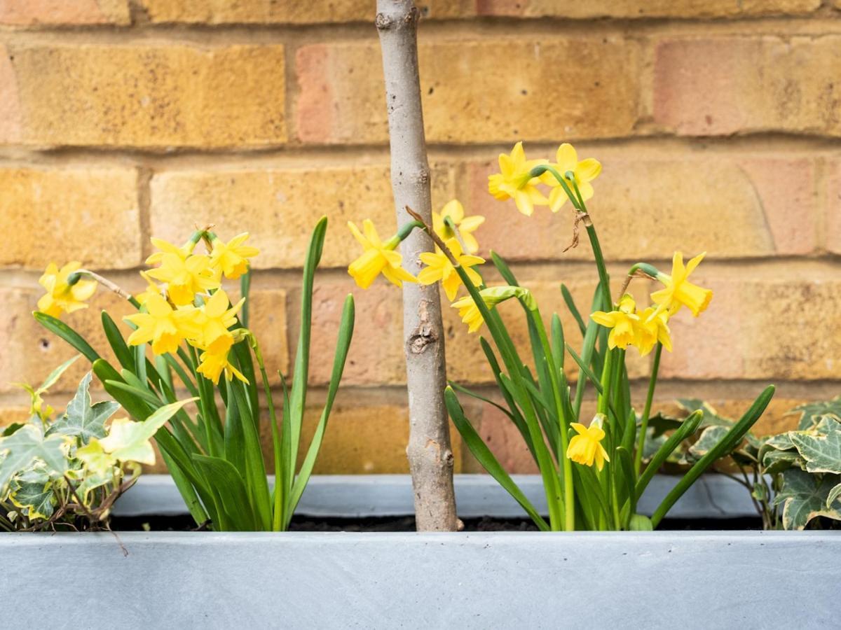 Chic & Cozy Flat In Sw London, Perfect Location! *