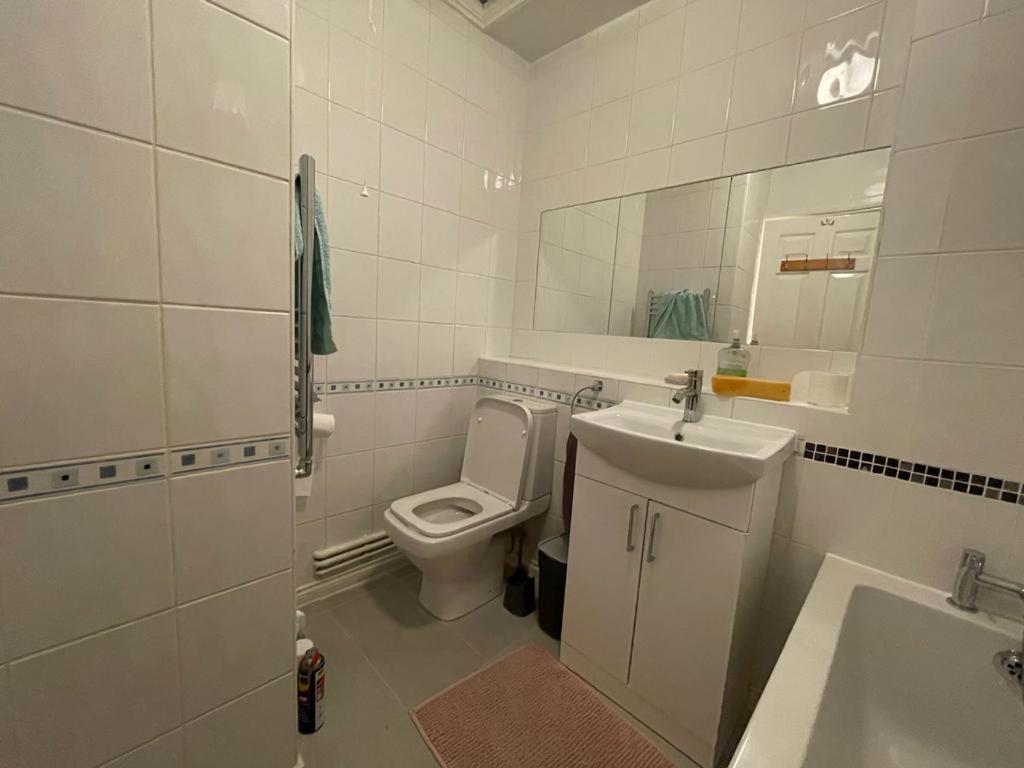 Beautiful 2 Bedroom Flat In London! Near Excel O2 Arena And Central! With Garden Apartment London