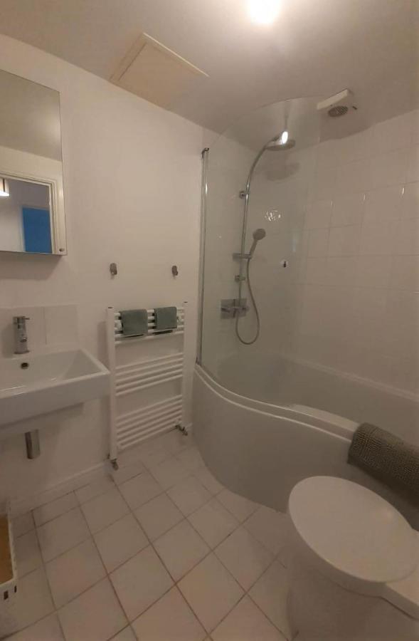 2 Bedroom Victorian Garden Flat London