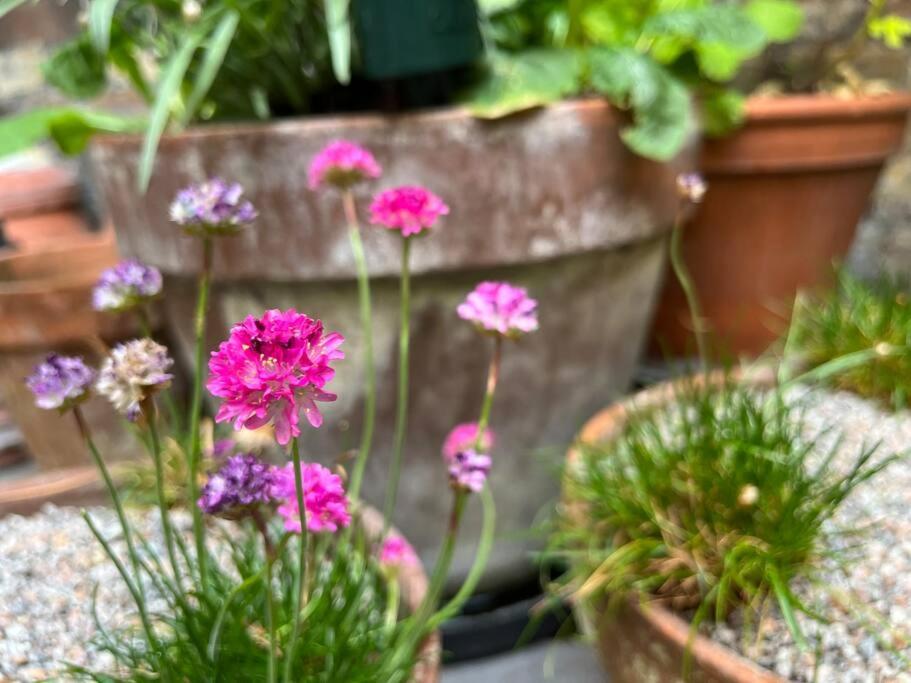 Kings Cross, Self-contained House & Private Garden Ferienhaus London