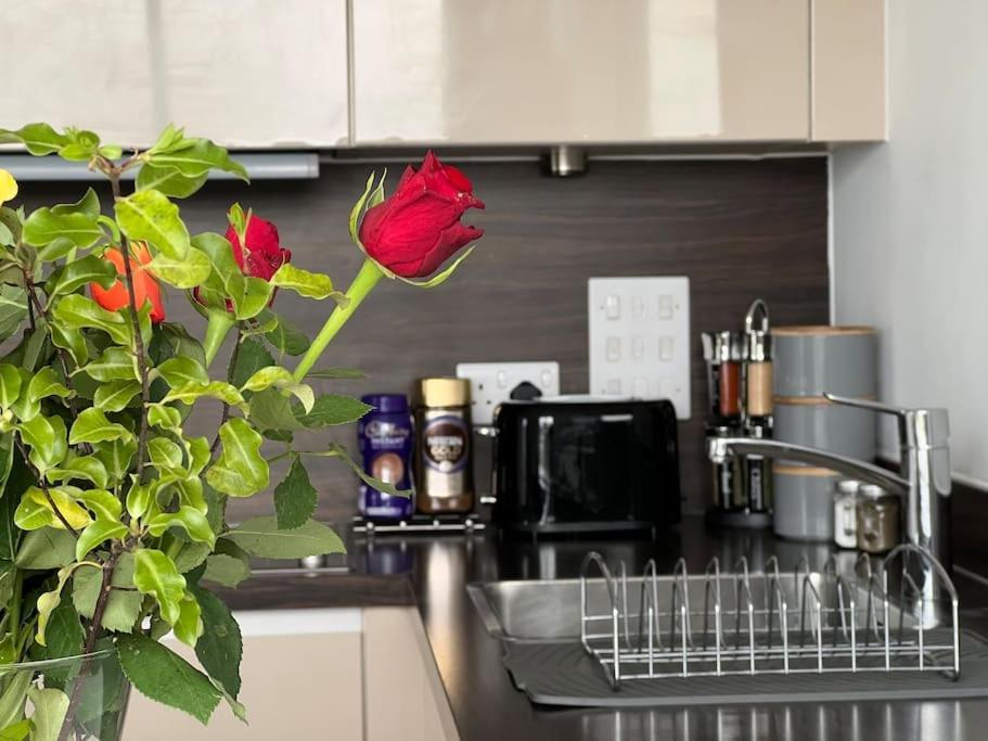 Apartamento Penthouse In Wembley Londres