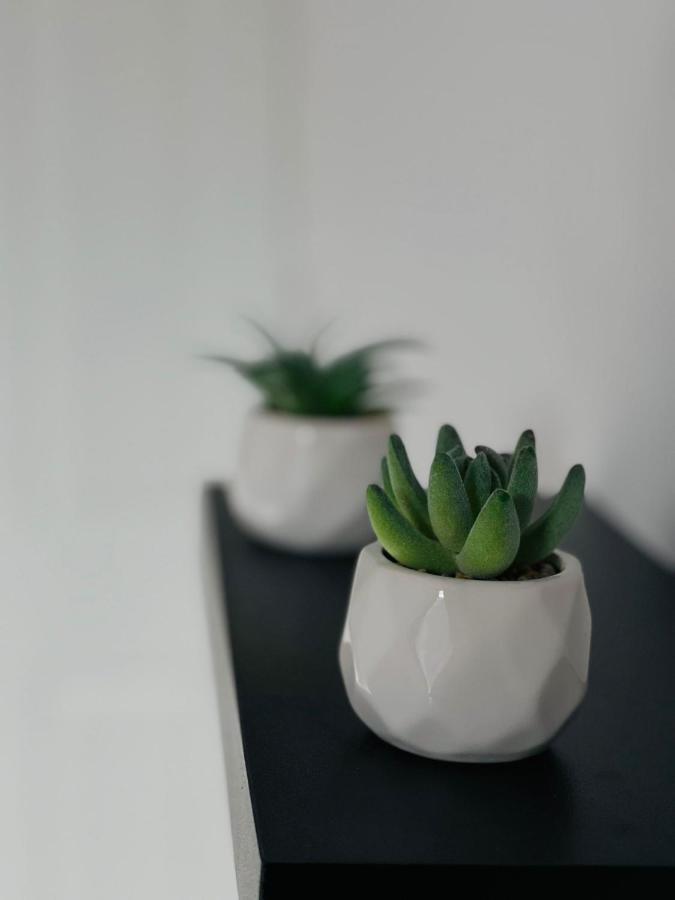 City Central Apartment *