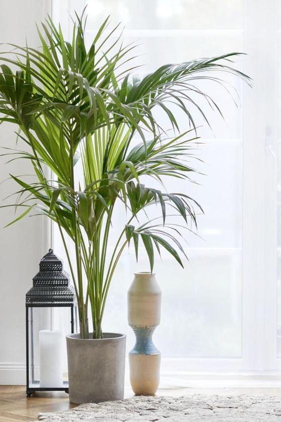 Apartamento Beautiful And Charming Near Boxpark Londres