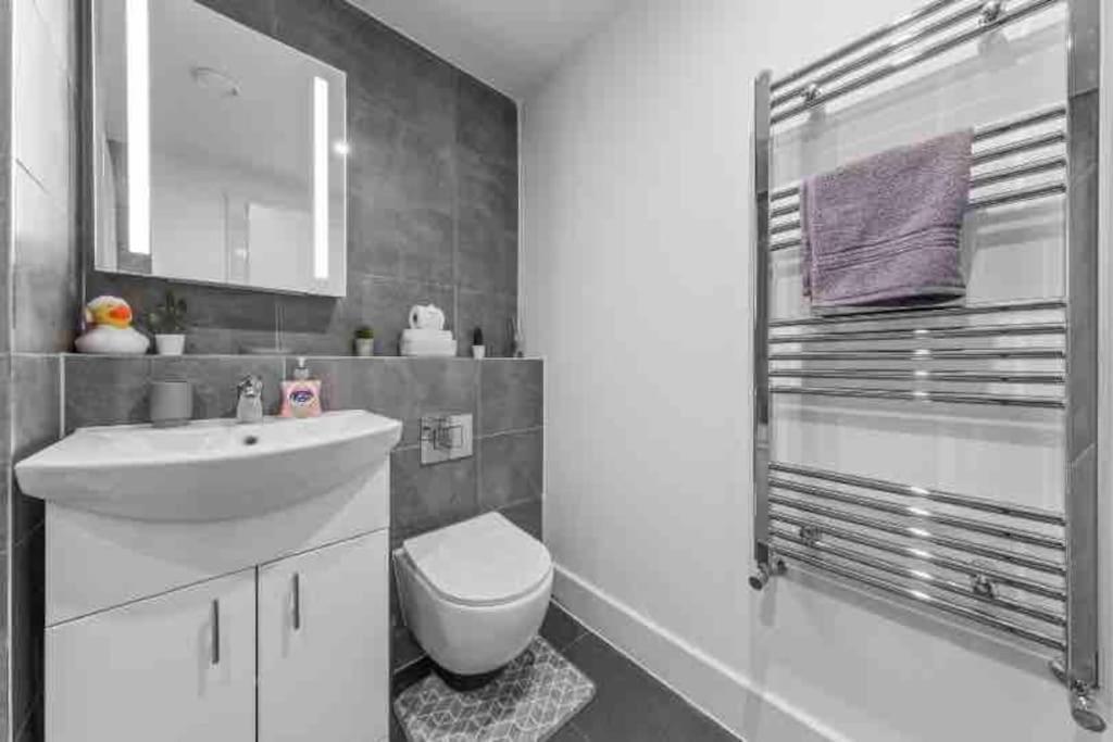 Cozy Flat Near Eye/ Victoria / Vauxhall Londres