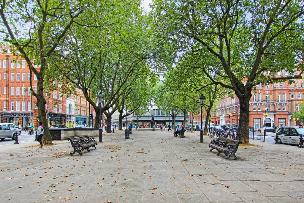Lifestyle - Chelsea London
