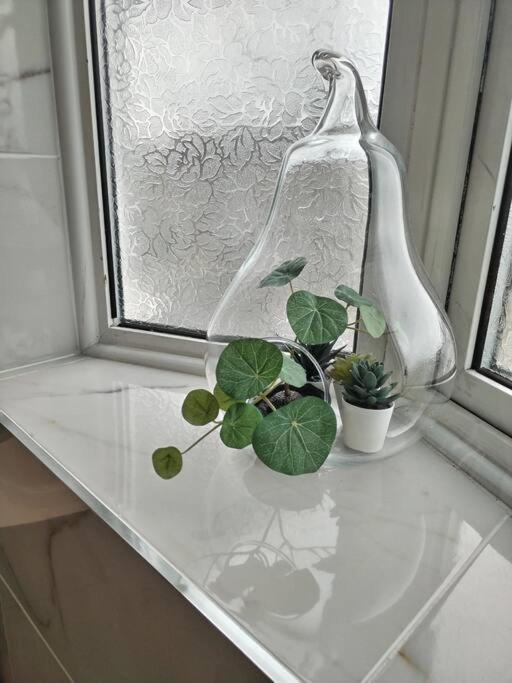 Wembley 2 Bed/2 Bath Modern Apt Apartment London
