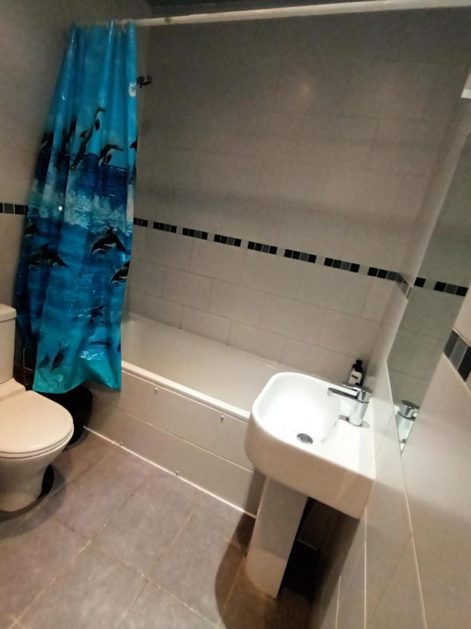 3 Bed Lovely Garden Flat Wandsworth