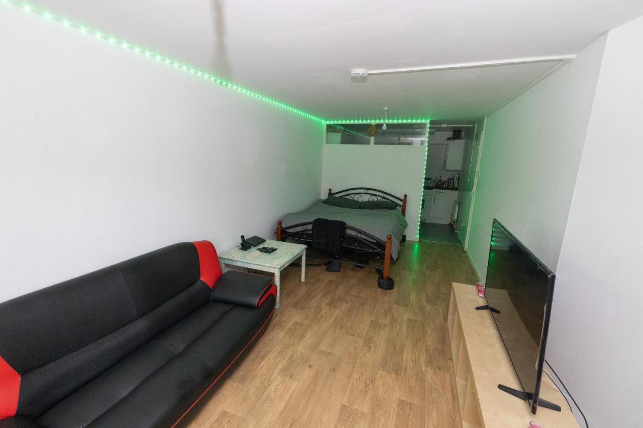 Peaceful With Led Lights & Secluded Garden Space Apartment London