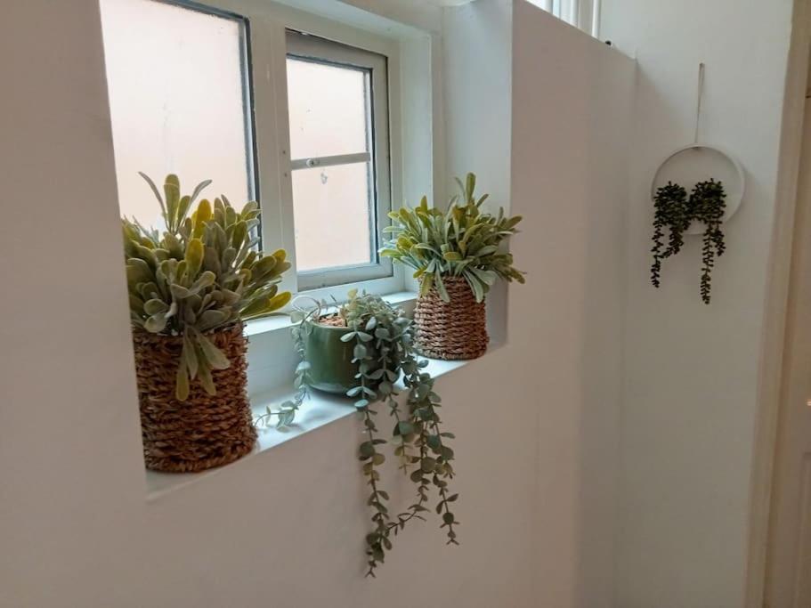 Apartment Cosy Flat In Whitechapel, *