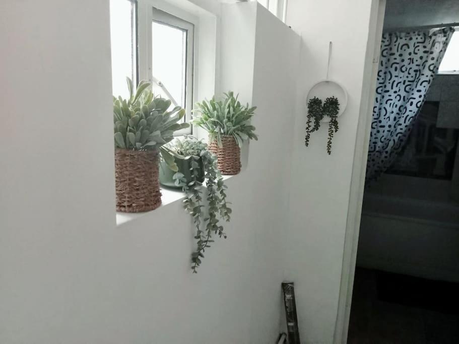 Cosy Flat In Whitechapel, Apartment London