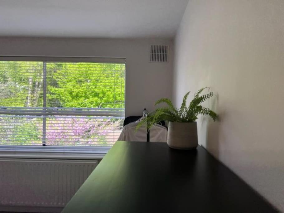 Apartment Big And Bright 2 X Double Bedroom Flat In Highgate London