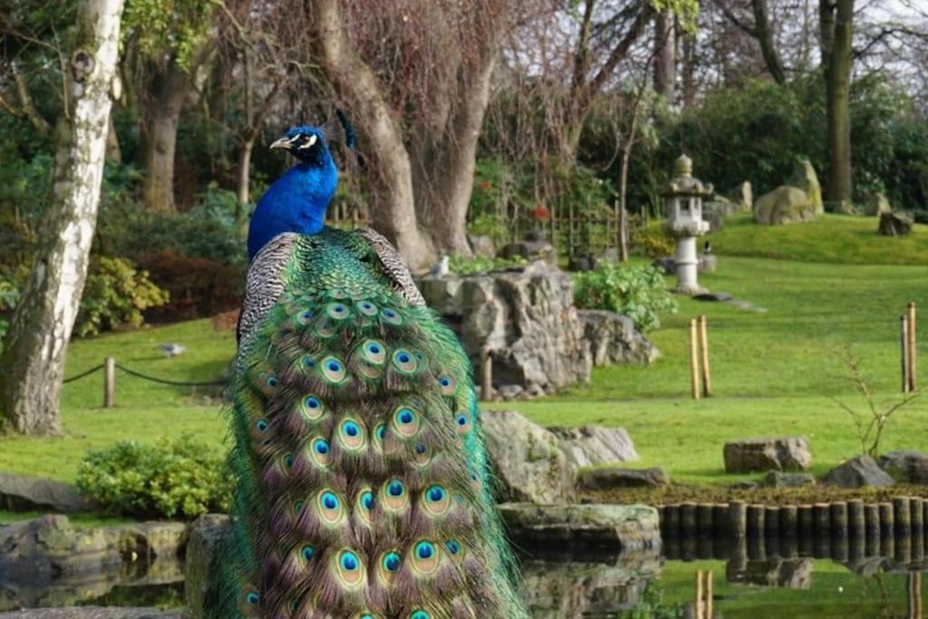 Beautiful Kensington 3 Minutes Walk To Earl's Court Station