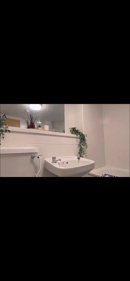Lovely Bright With Shared Facilities Hostel