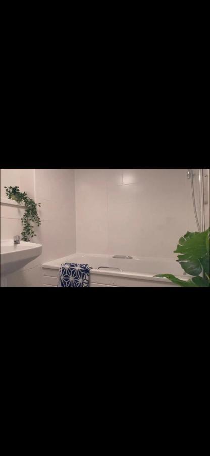 Great Private With Shared Bathroom -sleeps 2 -westminster Quick Links Hostel London
