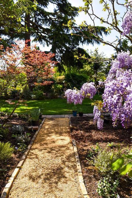 Spacious 2 Bed Garden Flat By The Thames+parking Apartamento