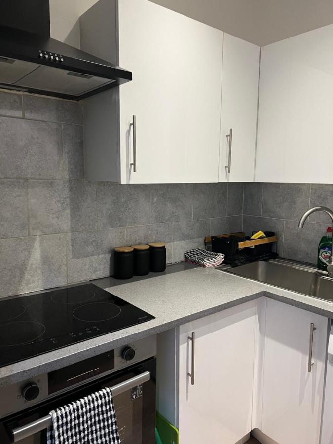Apartment 3 Bedroom Flat In King's Cross, St Pancras's. 2 Minutes To Euston. London