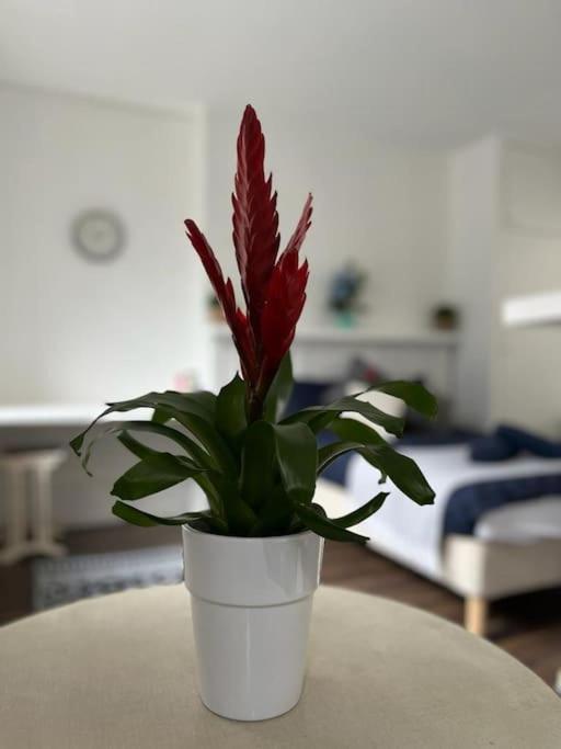 Apartment Glasshouse Yard Studio's F1 London