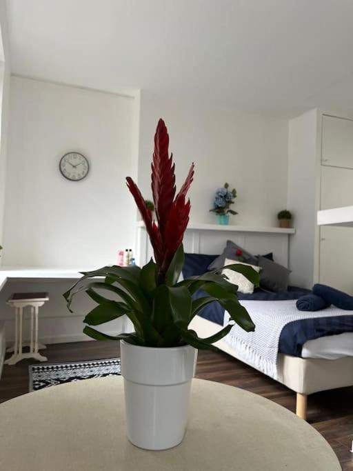 Glasshouse Yard Studio's F1 Apartment