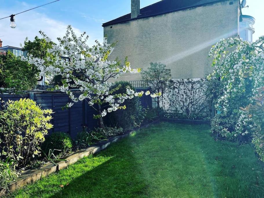 A Beautiful And Welcoming And Garden *