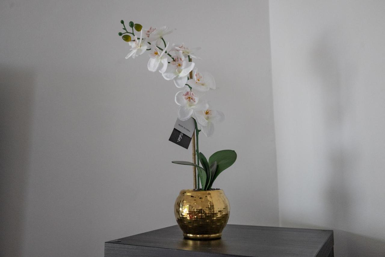 London - 4 Bed - Sleeps 8 - Garden - Pet Friendly Ferienhaus London