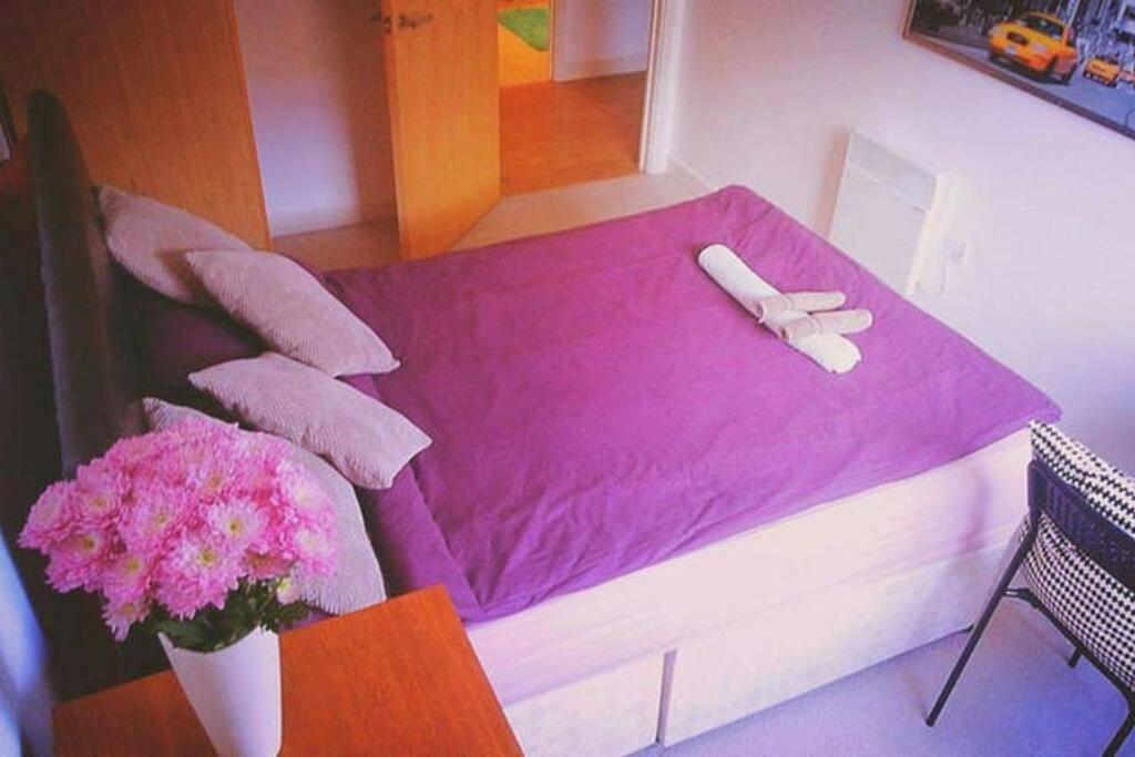 Superhost 1 Bedroom Flat 15 Mins To Center,zone 2 Apartment