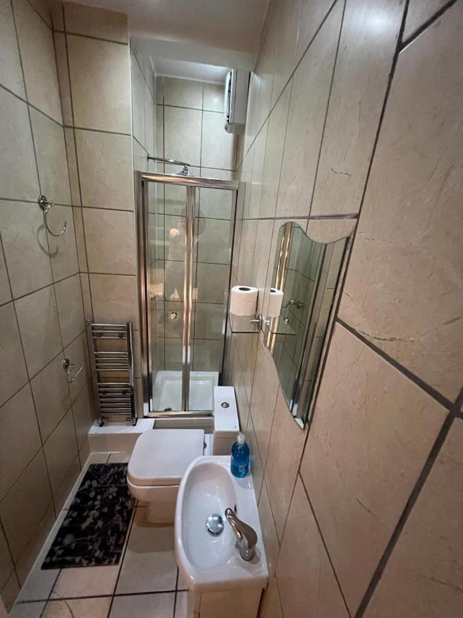 Apartment Spacious Studio In London