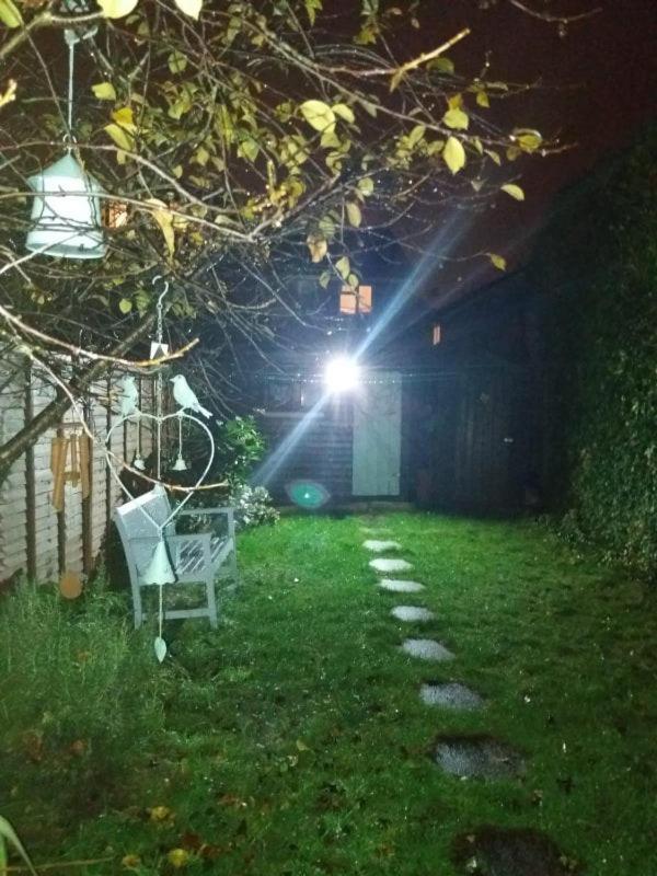 Homestay Cosy Single London