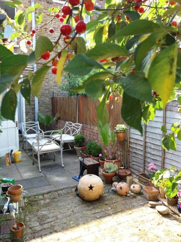 Cosy Single Homestay *