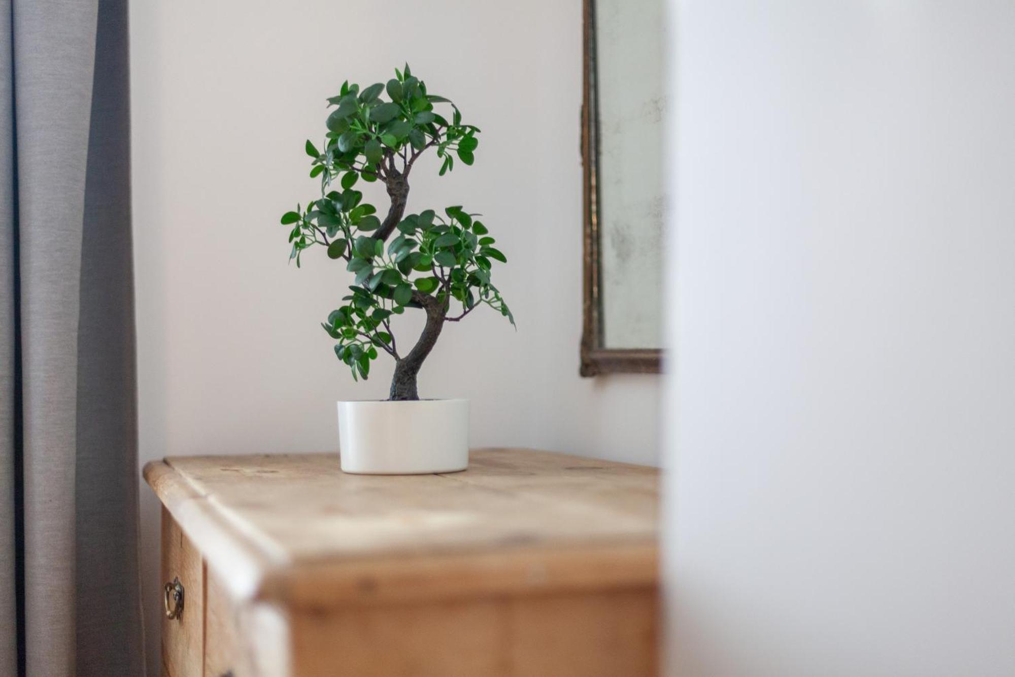 The Oval Collection Apartment *