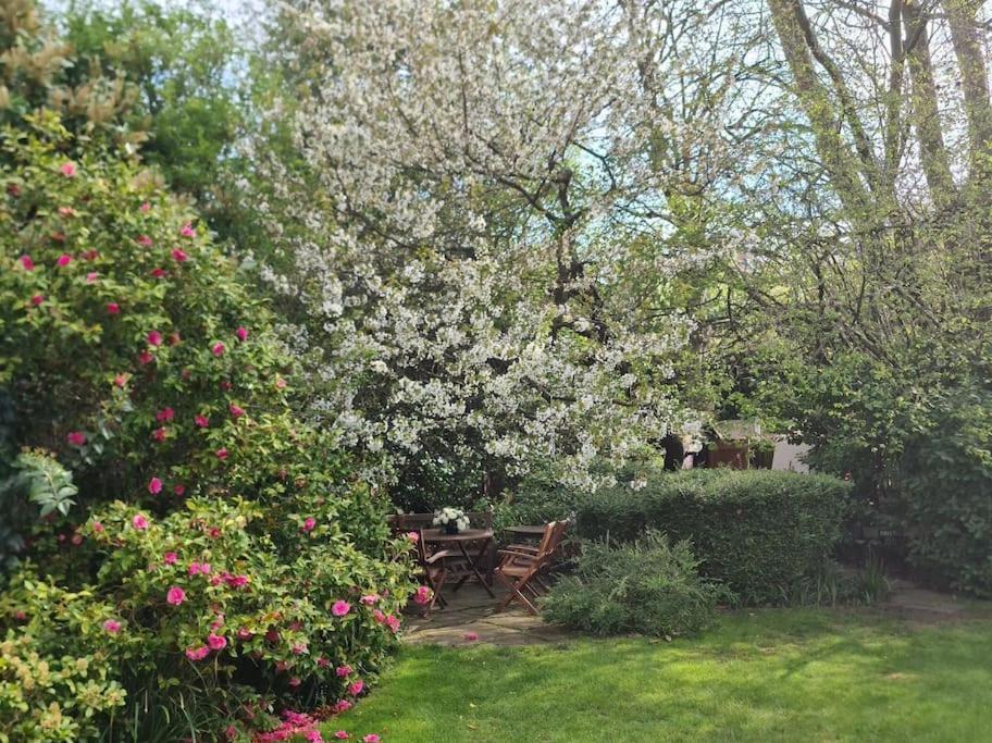 Lovely 2br In Peaceful Hampstead, Nw