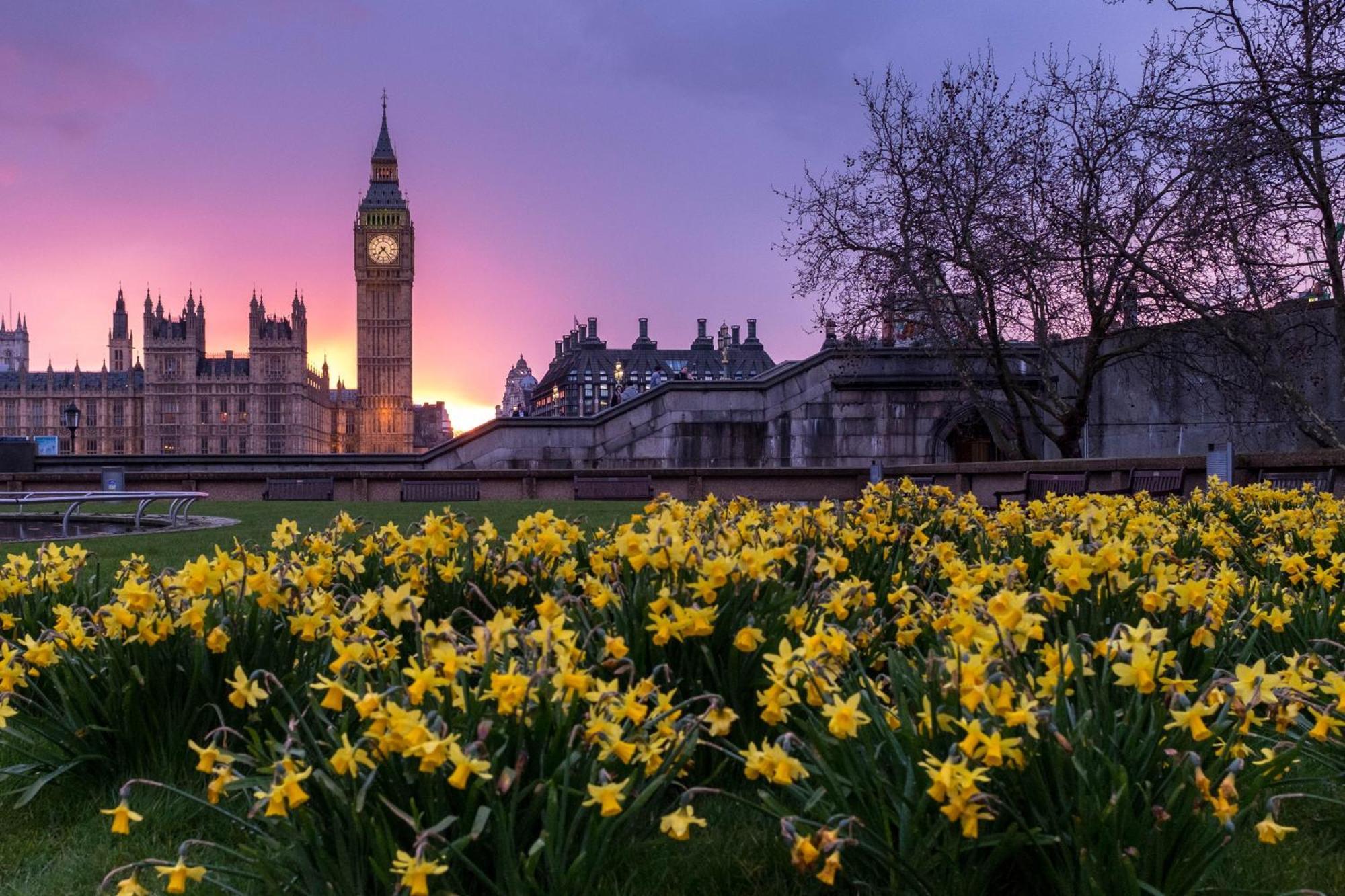 Homestay Luxury In Camden Town Near Shops, Cafes, Bars & Metro With Shared Bathrooms London