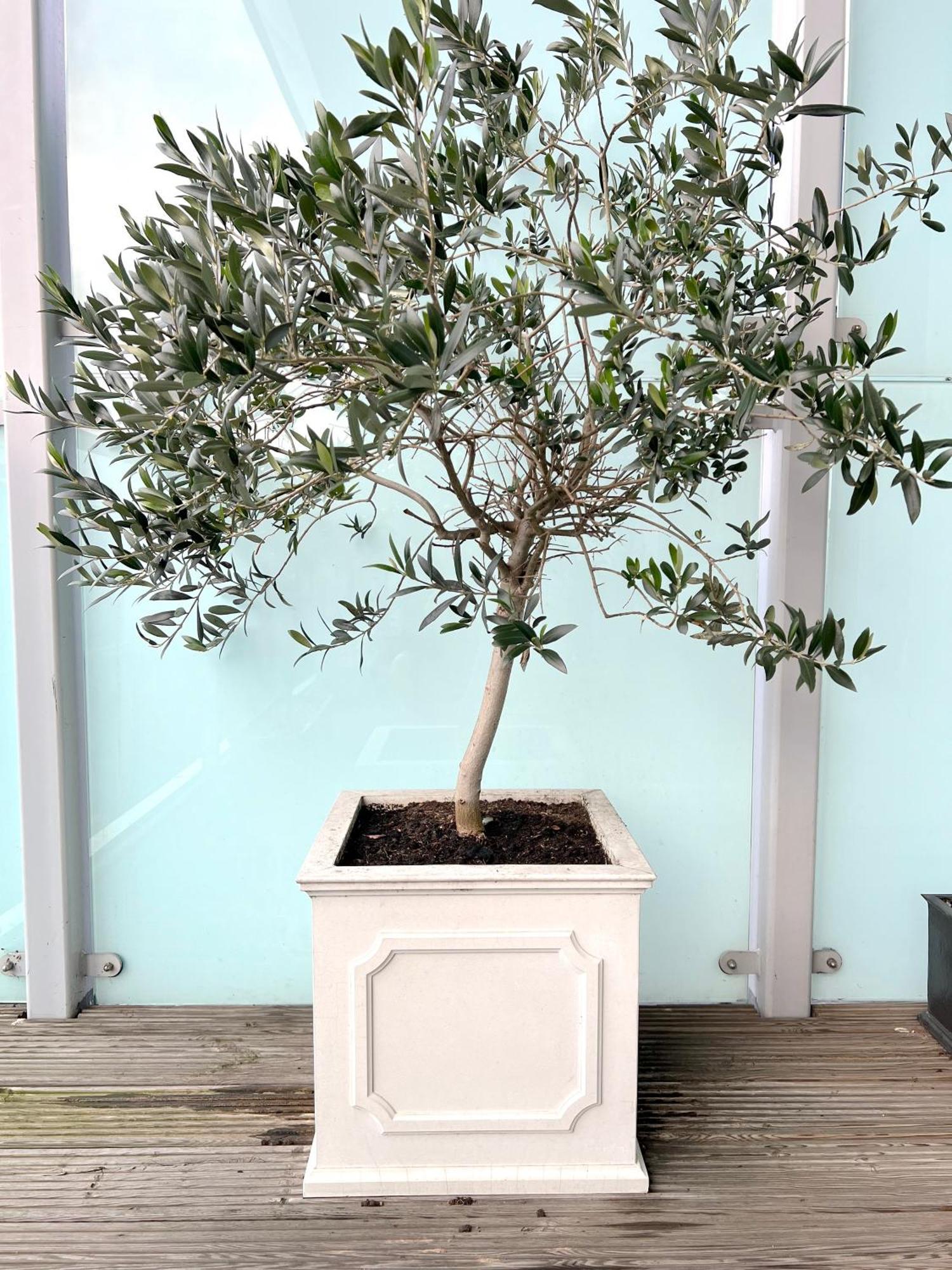 Apartment Cloud Nine - Luxe *