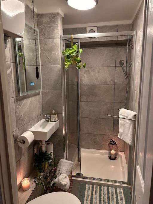Apartment Flat In Victorian West Kensington Mansion *